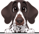 images/mymoments/208/01_KARAKTEREK/1_1_kutya/2_kutyak/59-english-pointer_trimmed.png