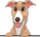images/mymoments/208/01_KARAKTEREK/1_1_kutya/2_kutyak/60-greyhound_trimmed.png