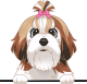 images/mymoments/208/01_KARAKTEREK/1_1_kutya/2_kutyak/63-shih-tzu_trimmed.png