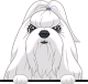 images/mymoments/208/01_KARAKTEREK/1_1_kutya/2_kutyak/64-maltese_trimmed.png