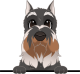 images/mymoments/208/01_KARAKTEREK/1_1_kutya/2_kutyak/66-scottish-terrier_trimmed.png