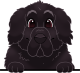 images/mymoments/208/01_KARAKTEREK/1_1_kutya/2_kutyak/67-newfoundland_trimmed.png
