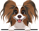 images/mymoments/208/01_KARAKTEREK/1_1_kutya/2_kutyak/69-papillon_trimmed.png