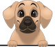 images/mymoments/208/01_KARAKTEREK/1_1_kutya/2_kutyak/73-rhodesian-ridgeback_trimmed.png