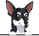 images/mymoments/208/01_KARAKTEREK/1_1_kutya/2_kutyak/76-australian-kelpie_trimmed.png