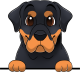 images/mymoments/208/01_KARAKTEREK/1_1_kutya/2_kutyak/77-rottweiler_trimmed.png