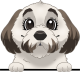 images/mymoments/208/01_KARAKTEREK/1_1_kutya/2_kutyak/81-morkie_trimmed.png