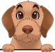 images/mymoments/208/01_KARAKTEREK/1_1_kutya/2_kutyak/88-border-terrier_trimmed.png