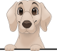 images/mymoments/208/01_KARAKTEREK/1_1_kutya/2_kutyak/89-weimaraner_trimmed.png