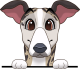 images/mymoments/208/01_KARAKTEREK/1_1_kutya/2_kutyak/91-whippet_trimmed.png