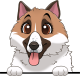 images/mymoments/208/01_KARAKTEREK/1_1_kutya/2_kutyak/96-borzoi_trimmed.png