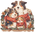 images/mymoments/212/03_bogre_hatoldala/07_trimmed.png