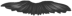 images/mymoments/218/08_ffi_szakall/07_trimmed.png