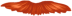 images/mymoments/218/08_ffi_szakall/11_trimmed.png