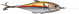 images/mymoments/228/02_KARAKTEREK_csalik/01_egy/Egy_csali/01_m_trimmed.png