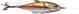 images/mymoments/228/02_KARAKTEREK_csalik/01_egy/Egy_csali/02_m_trimmed.png