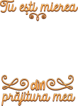 images/mymoments/229/01_feliratok/02_trimmed.png