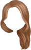 images/mymoments/231/08_nHajak/hair-10-4_trimmed.png