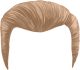 images/mymoments/231/12_HAJAK/hair-3-2_trimmed.png
