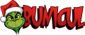 images/mymoments/237/2_feliratok/5_BUNICUL_trimmed.png