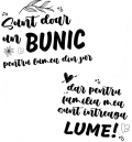 images/mymoments/241/1_Feliratok/BUNIC-fekete_trimmed.png