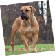 images/mymoments/245/01_KARAKTEREK/1_1_pet/2_mask_1/demo_1_trimmed.png