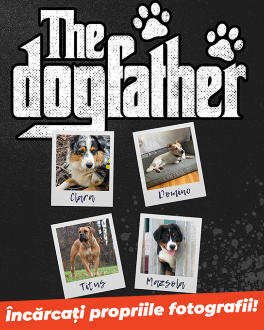 The dogfather - The catfather photo