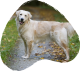 images/mymoments/246/01_mask_1/demo_1_trimmed.png