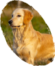 images/mymoments/246/02_mask_2/demo_1_trimmed.png