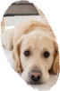 images/mymoments/246/03_mask_3/demo_1_trimmed.png