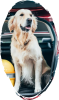 images/mymoments/246/04_mask_4/demo_1_trimmed.png