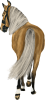 images/mymoments/25/02_Paci/HORSERIDING0001_trimmed.png