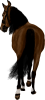 images/mymoments/25/02_Paci/HORSERIDINGC0012_trimmed.png