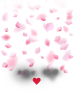 fond-1 fond-1