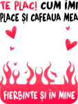 fond-1 fond-1