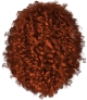 images/mymoments/258/01_Hajak/06/05_ginger_trimmed.png