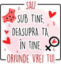 images/mymoments/259/16_bogre_hatoldala/1_trimmed.png