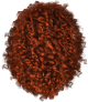 images/mymoments/263/03_hajak/06/05_ginger_trimmed.png