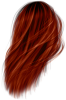 images/mymoments/264/02_haj/03/05_ginger_trimmed.png