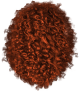 images/mymoments/264/02_haj/06/05_ginger_trimmed.png