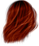 images/mymoments/268/03_hajak/05/05_ginger_trimmed.png