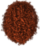 images/mymoments/268/03_hajak/06/05_ginger_trimmed.png