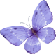 images/mymoments/294/02_KARAKTEREK/1_gyerek/pillango/01/lila_trimmed.png