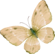 images/mymoments/294/02_KARAKTEREK/1_gyerek/pillango/01/sarga_trimmed.png