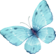 images/mymoments/294/02_KARAKTEREK/1_gyerek/pillango/01/turkiz_trimmed.png