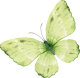 images/mymoments/294/02_KARAKTEREK/1_gyerek/pillango/01/zold_trimmed.png