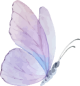 images/mymoments/294/02_KARAKTEREK/1_gyerek/pillango/02/lila_trimmed.png