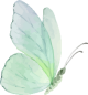 images/mymoments/294/02_KARAKTEREK/1_gyerek/pillango/02/zold_trimmed.png