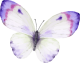 images/mymoments/294/02_KARAKTEREK/1_gyerek/pillango/03/kek_trimmed.png