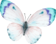 images/mymoments/294/02_KARAKTEREK/1_gyerek/pillango/03/turkiz_trimmed.png
